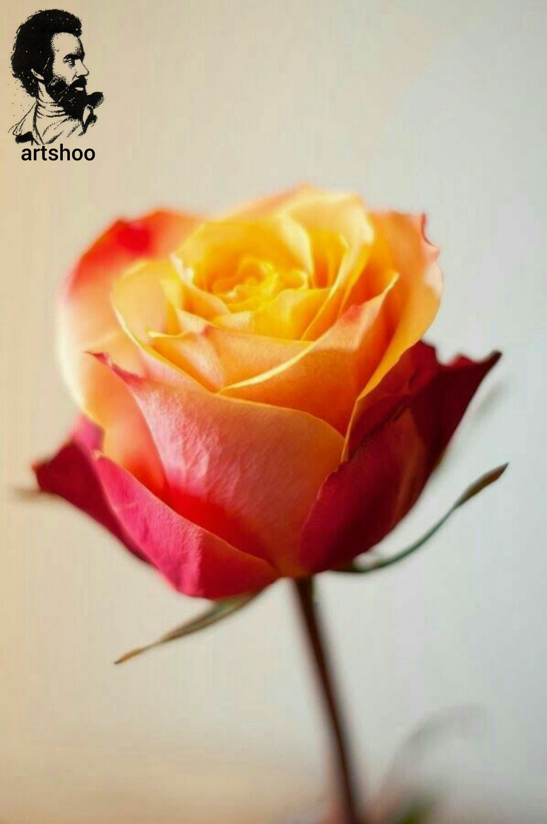 گل اورژینال رنگ روغن